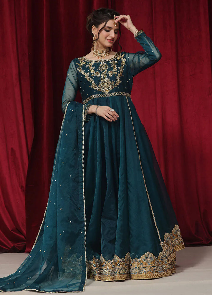 Rehan N Muzammil Pret Embroidered Organza 2 Piece Suit Bloom