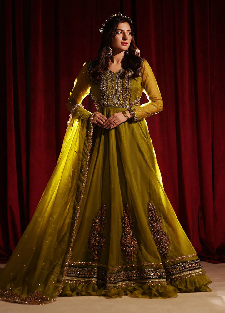 Rehan N Muzammil Pret Embroidered Organza 2 Piece Suit Dil Nasheen