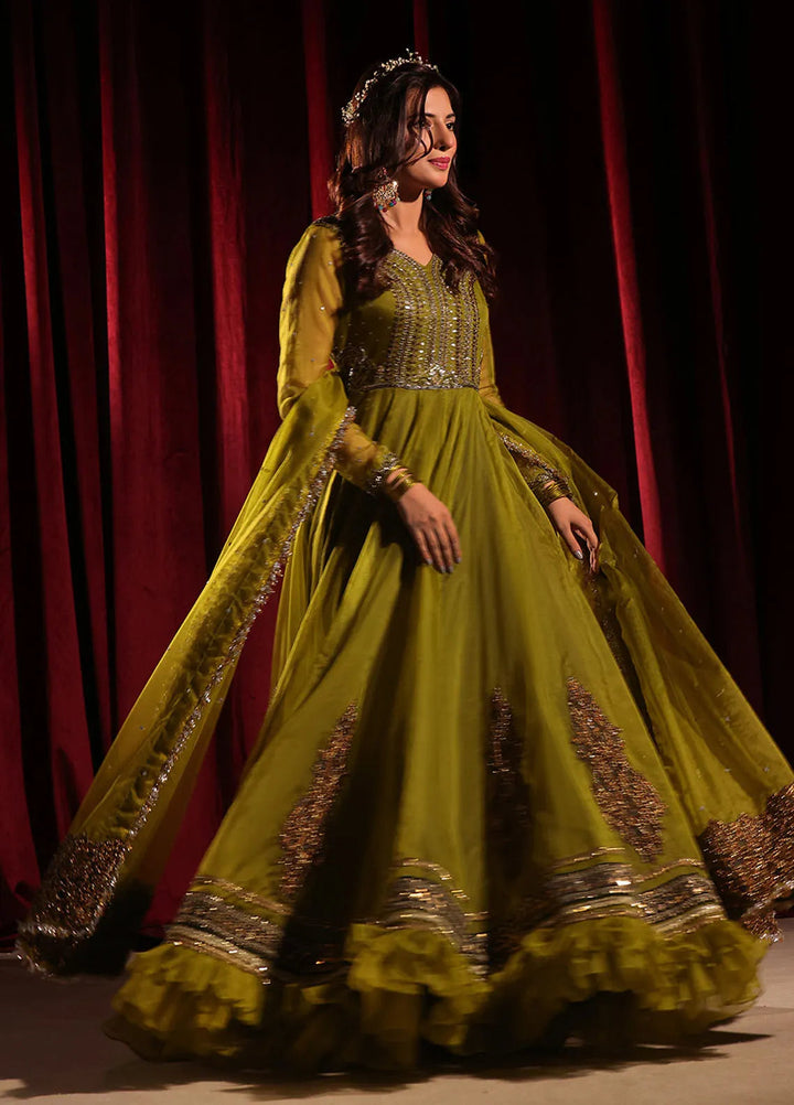 Rehan N Muzammil Pret Embroidered Organza 2 Piece Suit Dil Nasheen