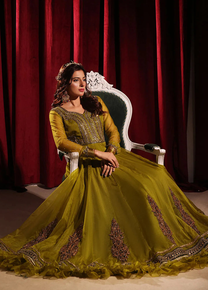 Rehan N Muzammil Pret Embroidered Organza 2 Piece Suit Dil Nasheen