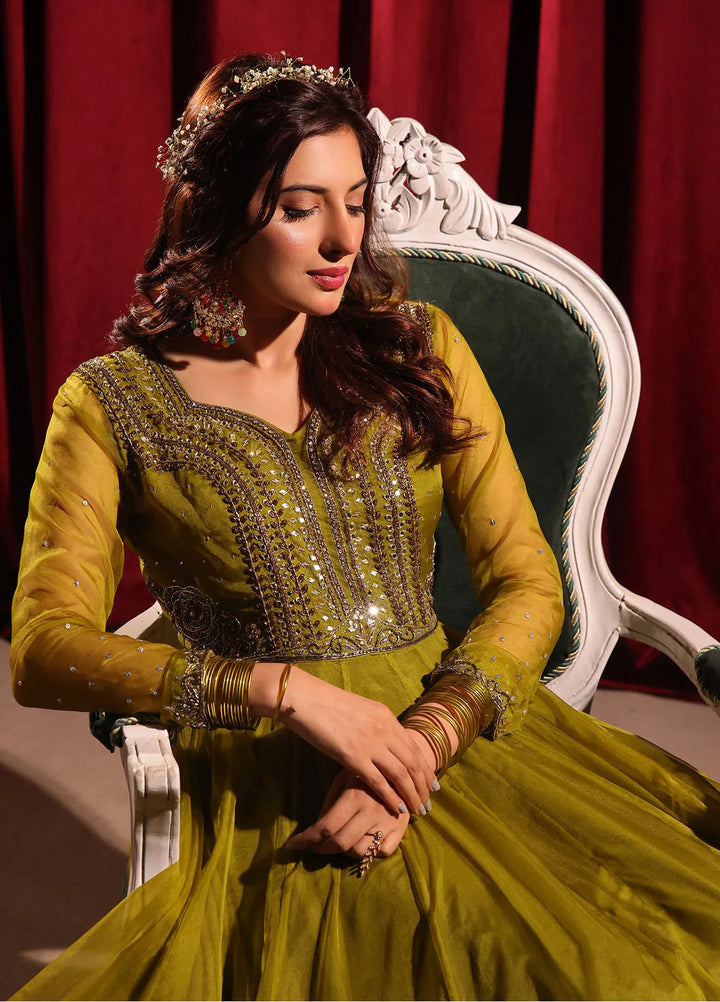 Rehan N Muzammil Pret Embroidered Organza 2 Piece Suit Dil Nasheen