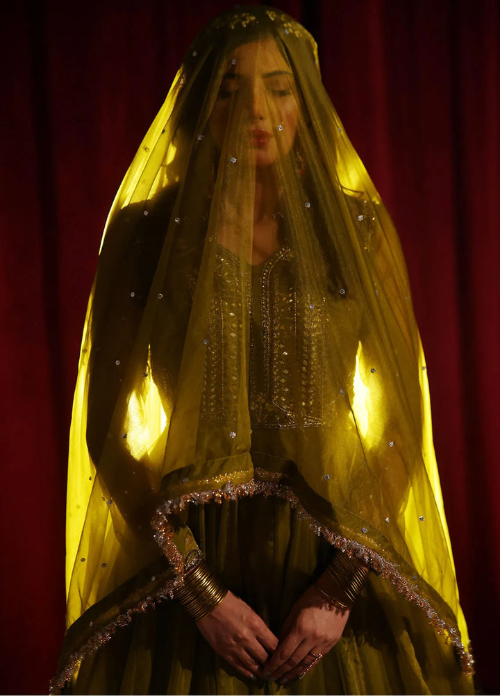 Rehan N Muzammil Pret Embroidered Organza 2 Piece Suit Dil Nasheen