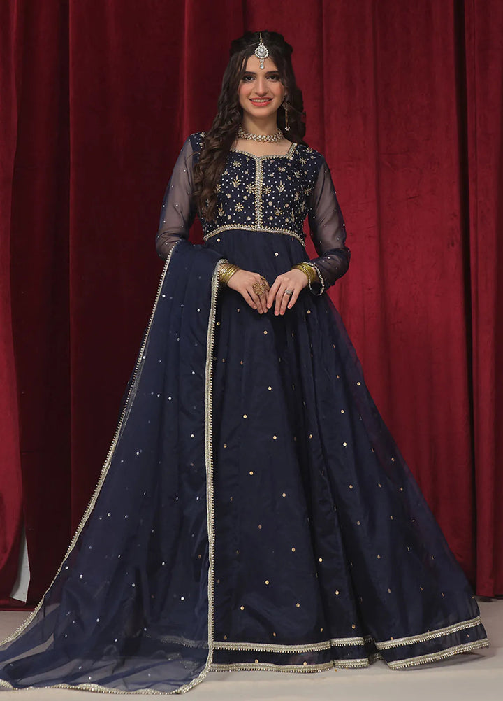 Rehan N Muzammil Pret Embroidered Organza 2 Piece Suit Jabeen