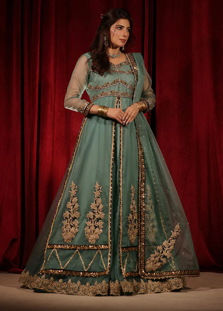 Rehan N Muzammil Pret Embroidered Organza 2 Piece Suit Khushi