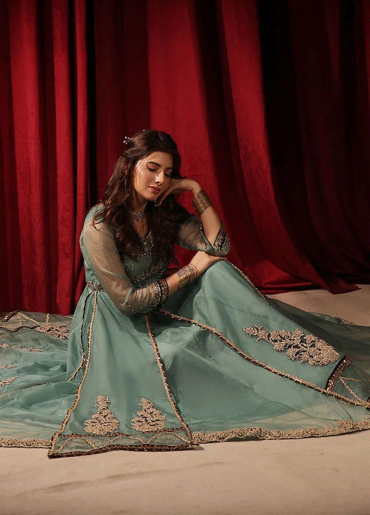 Rehan N Muzammil Pret Embroidered Organza 2 Piece Suit Khushi