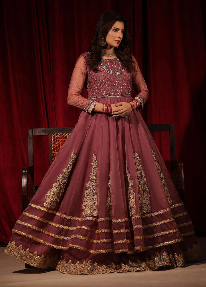 Rehan N Muzammil Pret Embroidered Organza 2 Piece Suit Leela