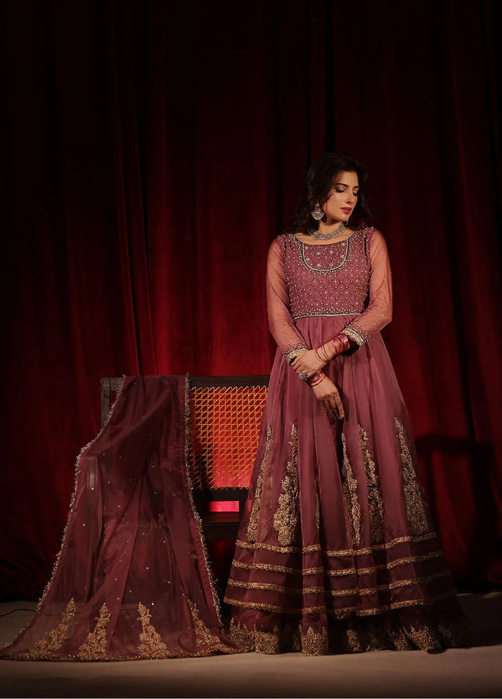 Rehan N Muzammil Pret Embroidered Organza 2 Piece Suit Leela