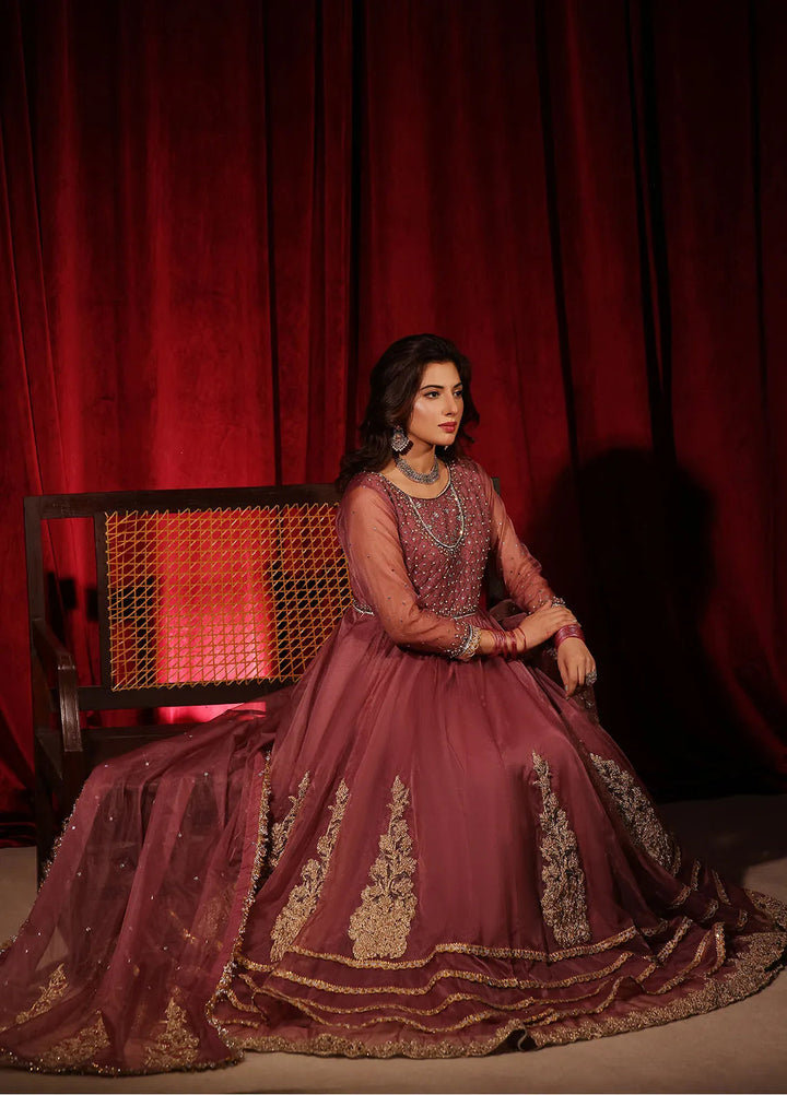 Rehan N Muzammil Pret Embroidered Organza 2 Piece Suit Leela