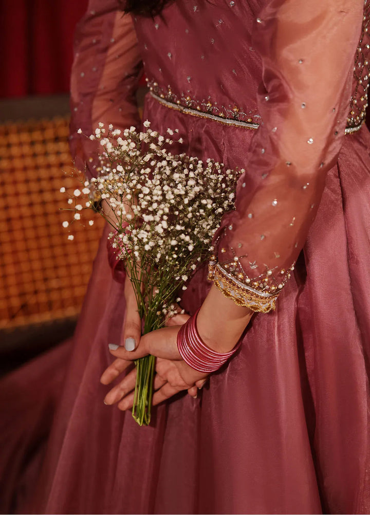 Rehan N Muzammil Pret Embroidered Organza 2 Piece Suit Leela