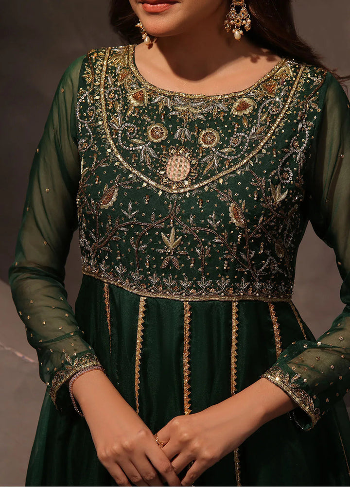 Rehan N Muzammil Pret Embroidered Organza 2 Piece Suit Mastani