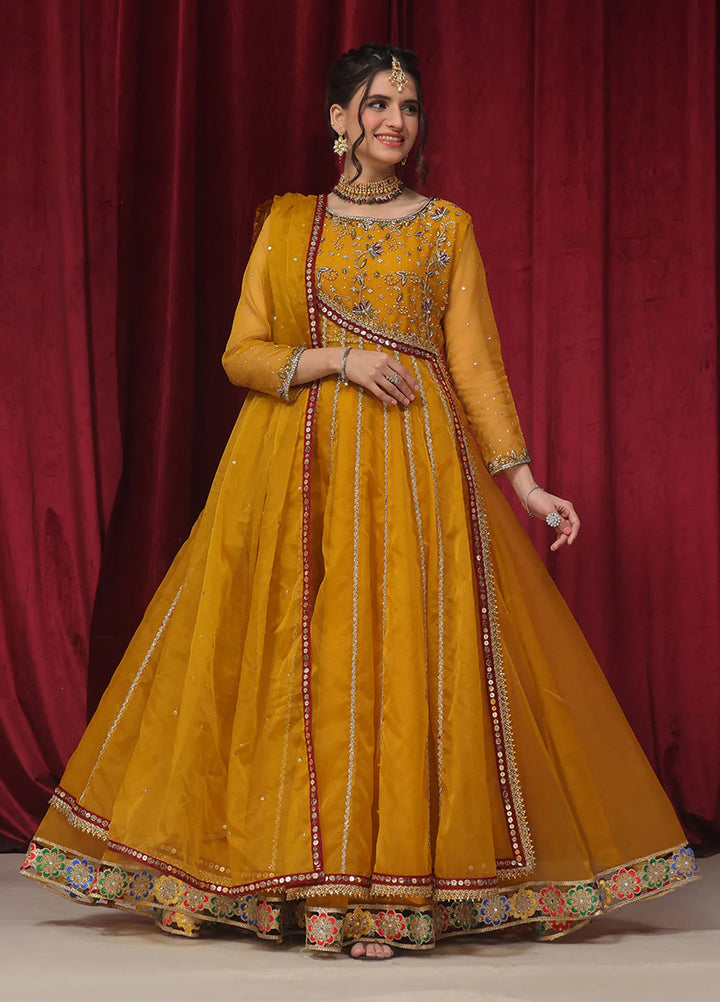 Rehan N Muzammil Pret Embroidered Organza 2 Piece Suit Nerissa