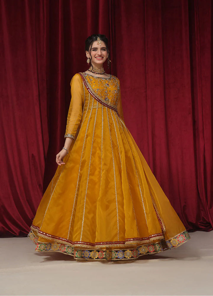 Rehan N Muzammil Pret Embroidered Organza 2 Piece Suit Nerissa