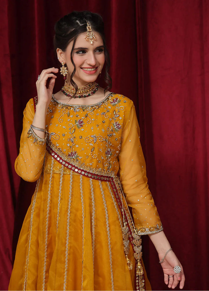 Rehan N Muzammil Pret Embroidered Organza 2 Piece Suit Nerissa