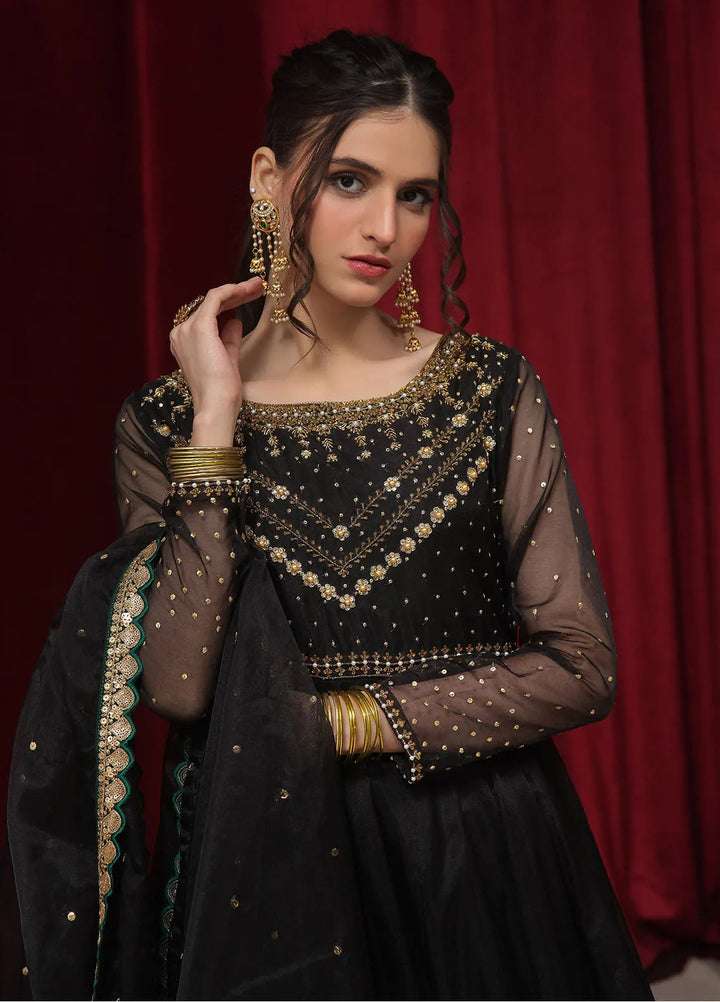 Rehan N Muzammil Pret Embroidered Organza 2 Piece Suit Zoha