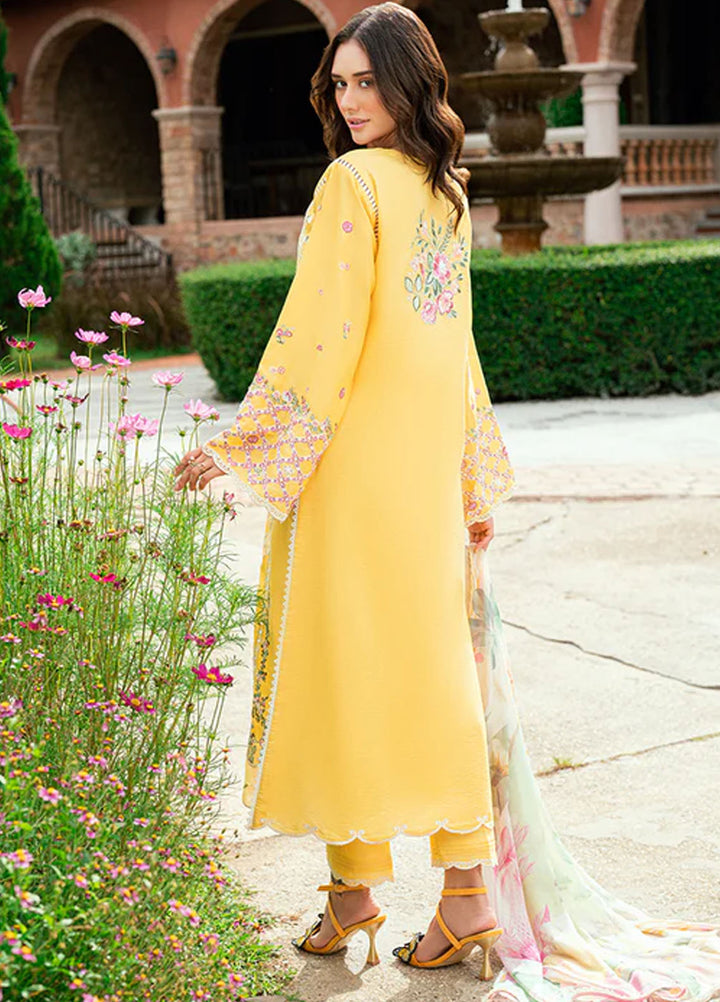 Roheenaz Embroidered Lawn Suits Unstitched 3 Piece D-03 B Lunara - Summer Collection