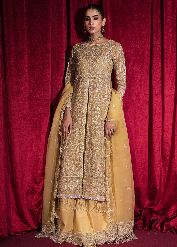 Roshnai By Shazme Embroidered Organza Suits Unstitched 4 Piece SHZ23R SH 03 Fatin - Wedding Collection