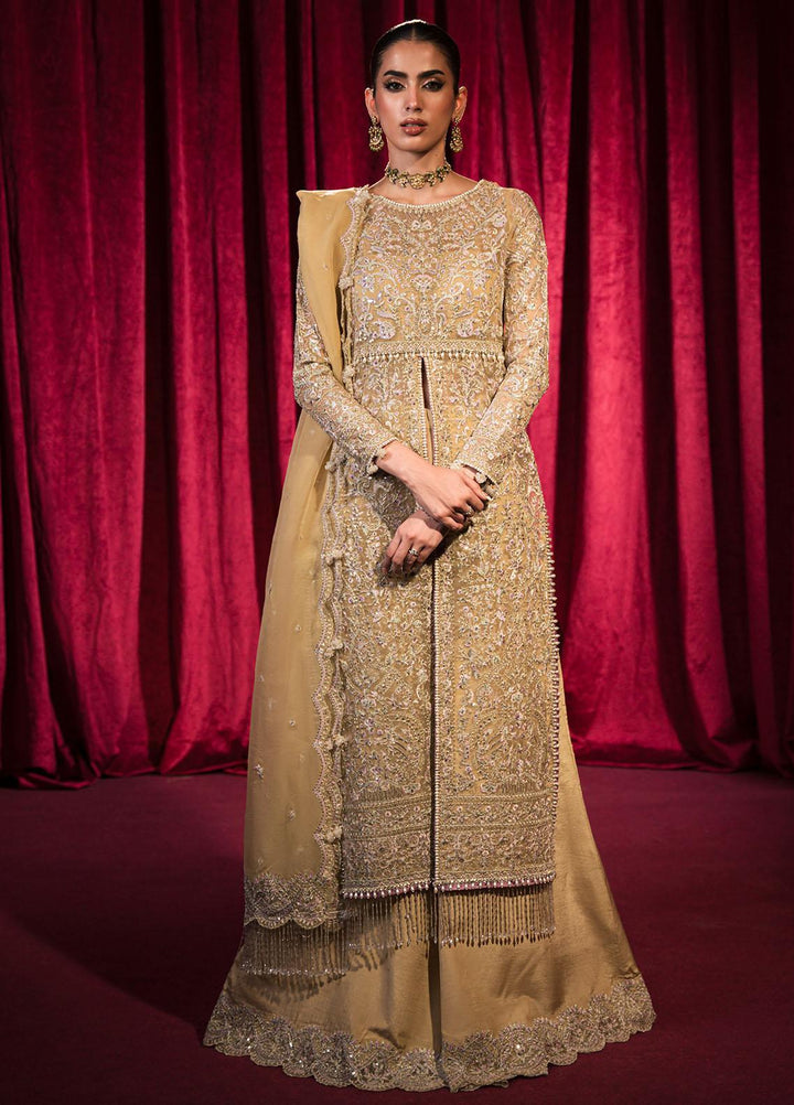 Roshnai By Shazme Embroidered Organza Suits Unstitched 4 Piece SHZ23R SH 03 Fatin - Wedding Collection