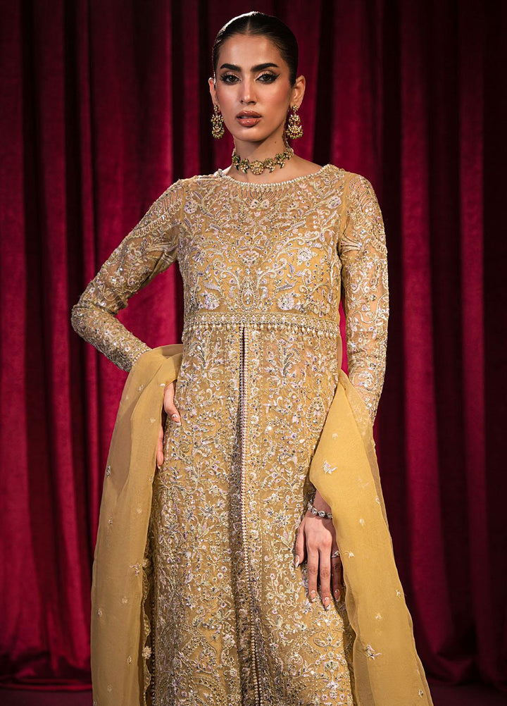 Roshnai By Shazme Embroidered Organza Suits Unstitched 4 Piece SHZ23R SH 03 Fatin - Wedding Collection