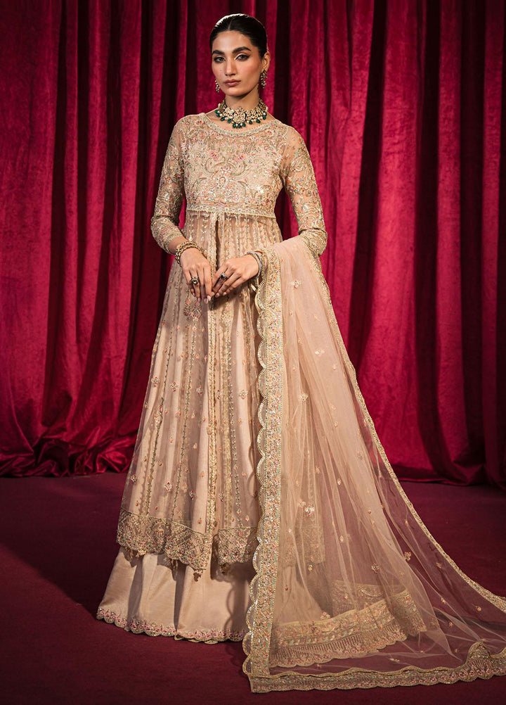 Roshnai By Shazme Embroidered Net Suits Unstitched 4 Piece SHZ23R SH 06 Inaya - Wedding Collection