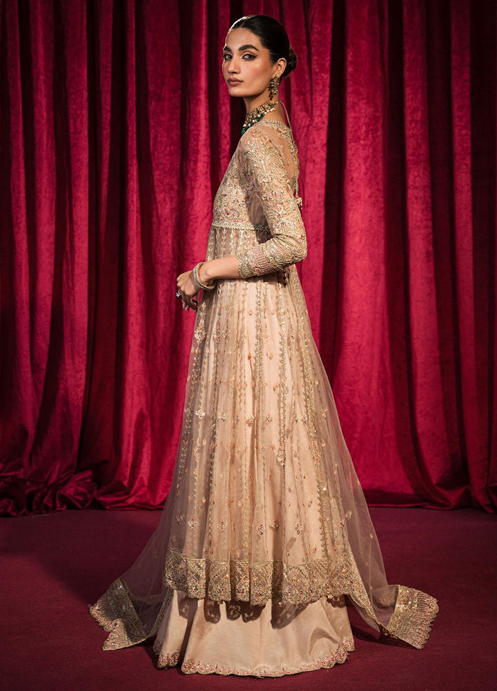 Roshnai By Shazme Embroidered Net Suits Unstitched 4 Piece SHZ23R SH 06 Inaya - Wedding Collection