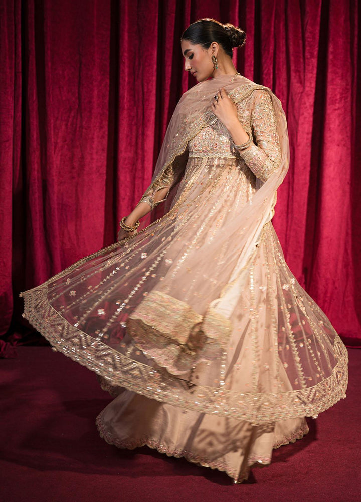 Roshnai By Shazme Embroidered Net Suits Unstitched 4 Piece SHZ23R SH 06 Inaya - Wedding Collection