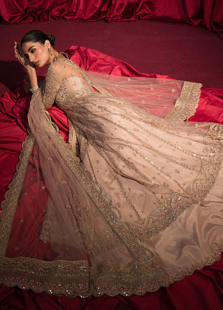 Roshnai By Shazme Embroidered Net Suits Unstitched 4 Piece SHZ23R SH 06 Inaya - Wedding Collection