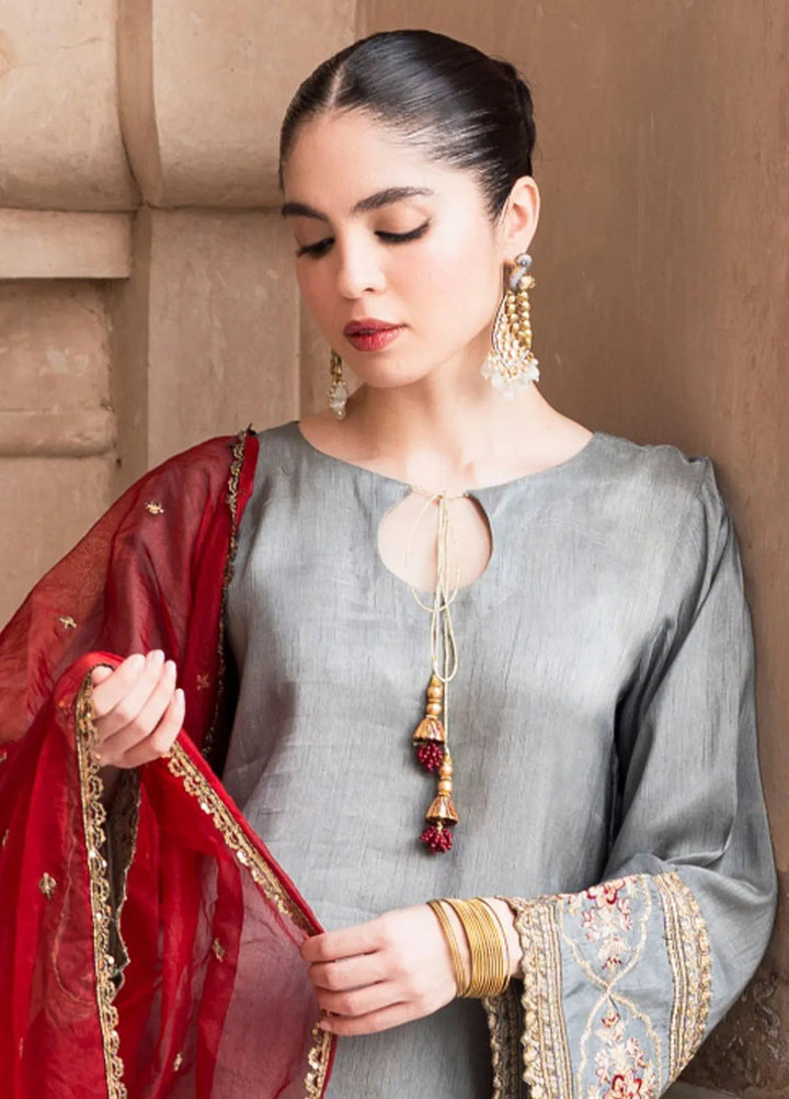 Ruhani by Muraad Embroidered Raw Silk Suit Unstitched 3 Piece MU24R Nura - Formal Collection