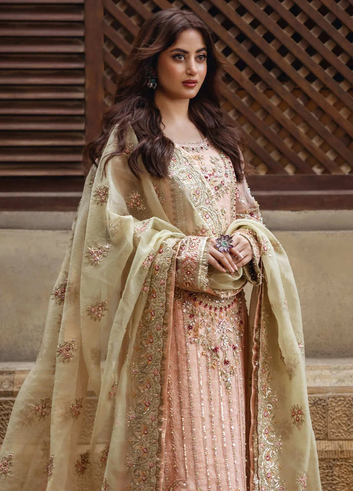 Sajal by Serene Embroidered Organza Suits Unstitched 3 Piece SP24SJ SB-27 Zarqash - Wedding Collection