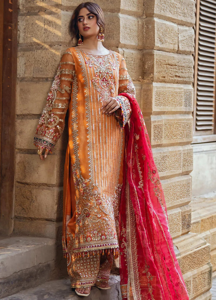 Sajal by Serene Embroidered Organza Suits Unstitched 3 Piece SP24SJ SB-33 Husn - Wedding Collection