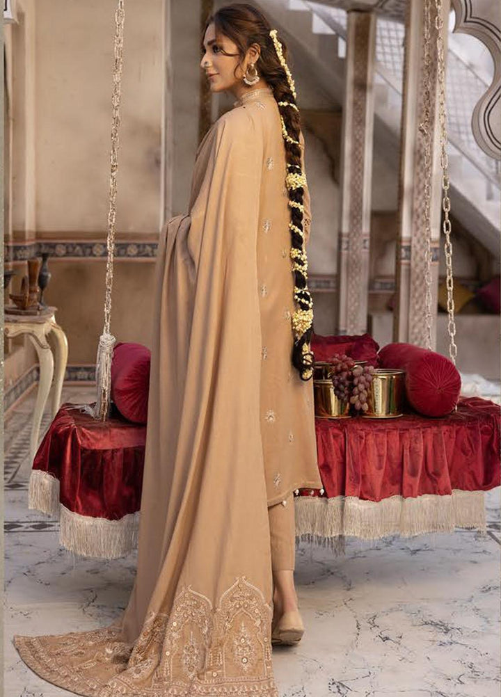 Shadow Stapel by Aalaya Embroidered Karandi Suits Unstitched 3 Piece ALY22SS D-09 - Winter Collection