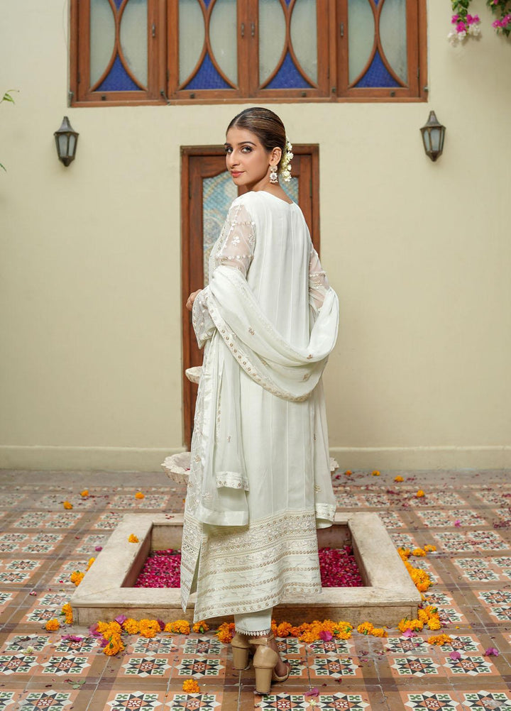 Shamooz Ready to Wear  Chiffon 3 Piece Dress SHM22DW SEM-0326 Mist Green