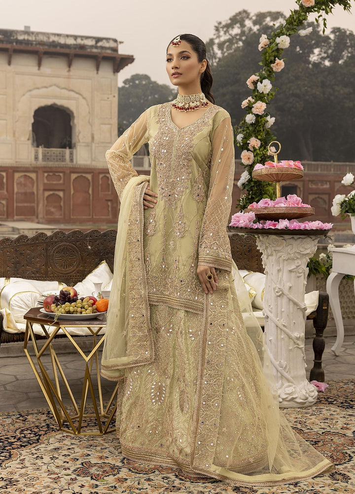 Sonia Umer by Shahzeb Textiles Embroidered Net Suits Unstitched 3 Piece ST22SU Minty Green - Wedding Collection
