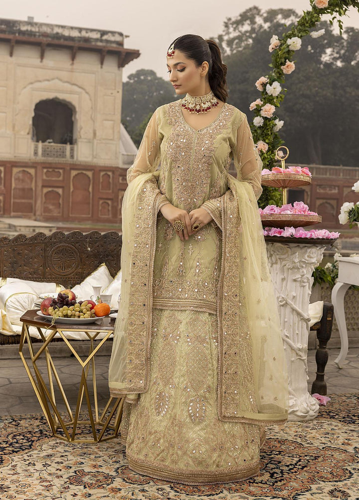 Sonia Umer by Shahzeb Textiles Embroidered Net Suits Unstitched 3 Piece ST22SU Minty Green - Wedding Collection