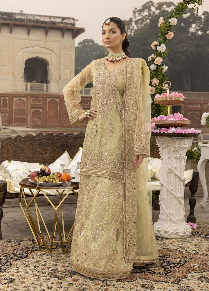 Sonia Umer by Shahzeb Textiles Embroidered Net Suits Unstitched 3 Piece ST22SU Minty Green - Wedding Collection