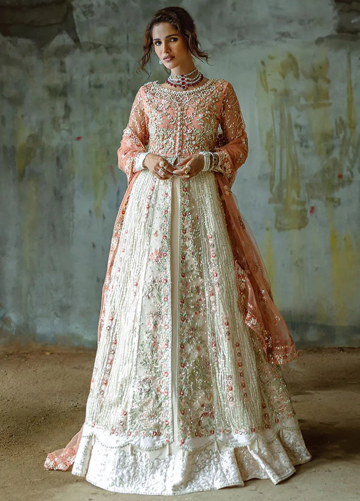 Stardust by Mushq Embroidered Net Suit Unstitched 4 Piece MQ24SW MWD-01 Galaxy Gown - Formal Collection