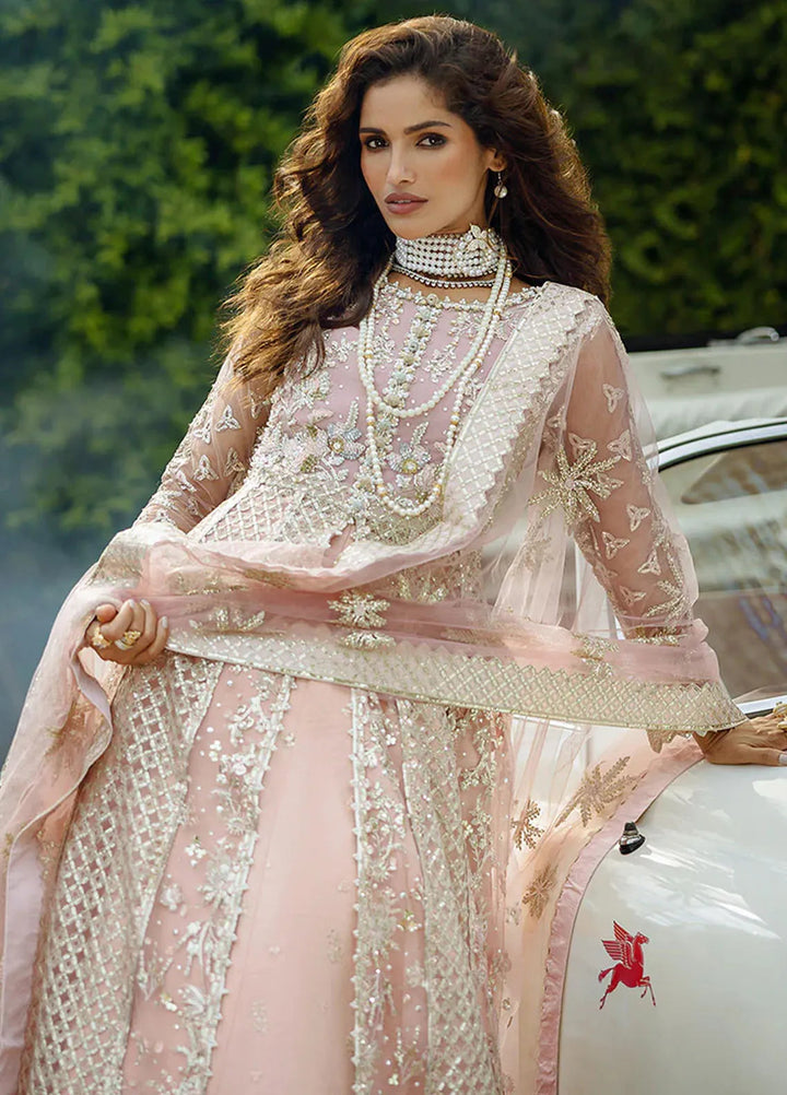 Stardust by Mushq Embroidered Net Suit Unstitched 4 Piece MQ24SW MWD-04 Starlet Sparkle - Formal Collection