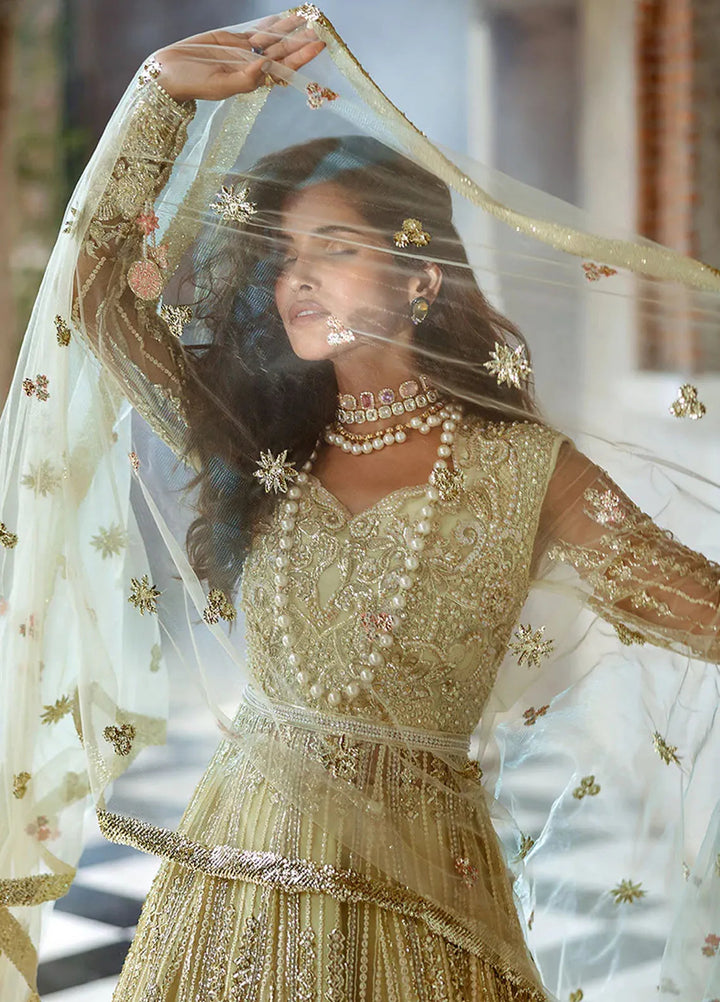Stardust by Mushq Embroidered Net Suit Unstitched 4 Piece MQ24SW MWD-06 Cosmic Couture - Formal Collection