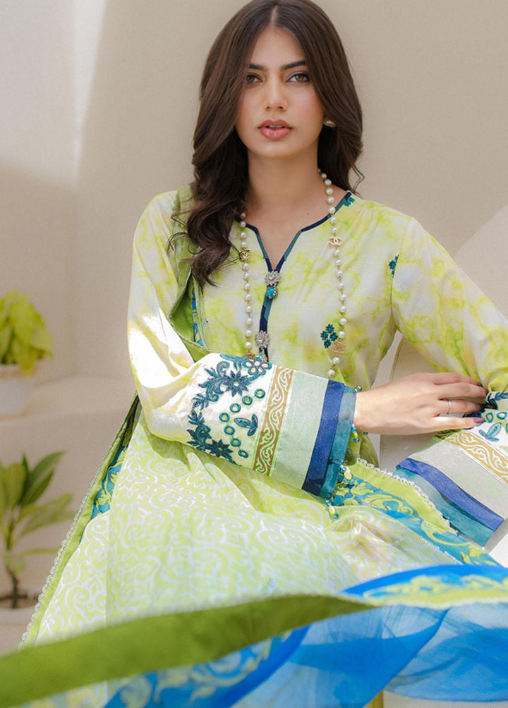 Sunshine Bloom By Al Zohaib Embroidered Cambric Suits Unstitched 3 Piece AZ23PK 10 - Winter Collection
