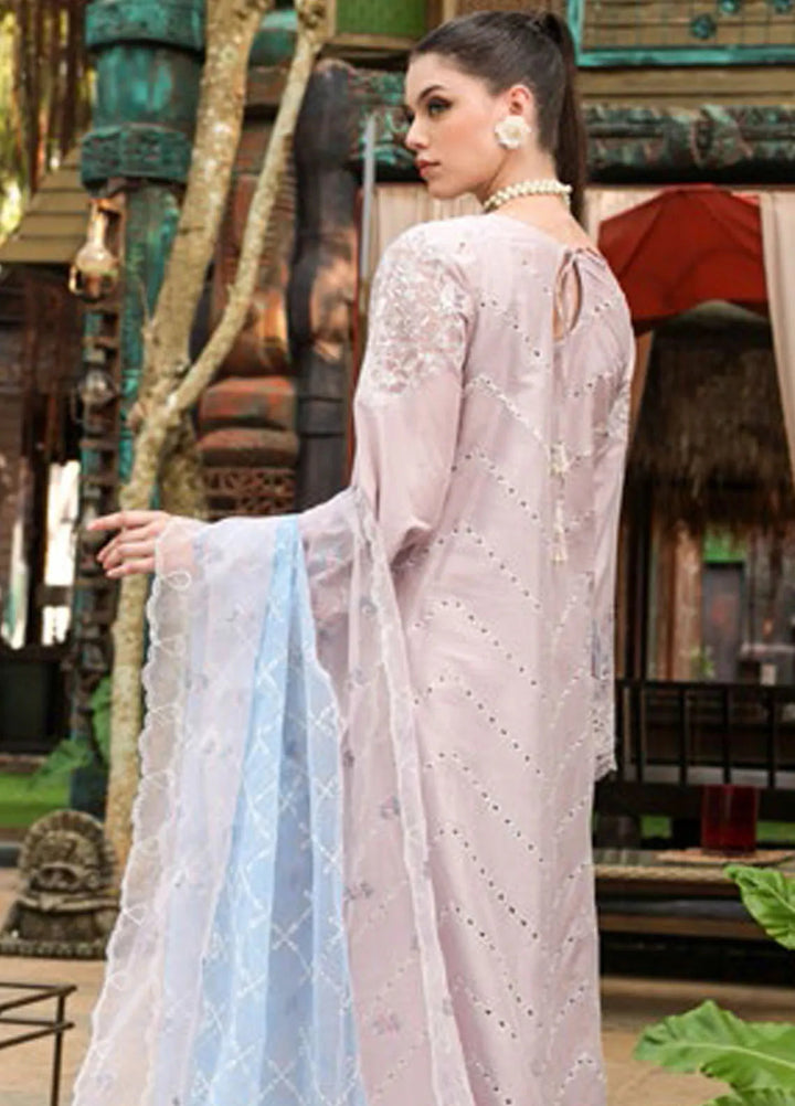 Tabeer Embroidered Lawn Suit Unstitched 3 Piece TBR24L D-03 - Summer Collection