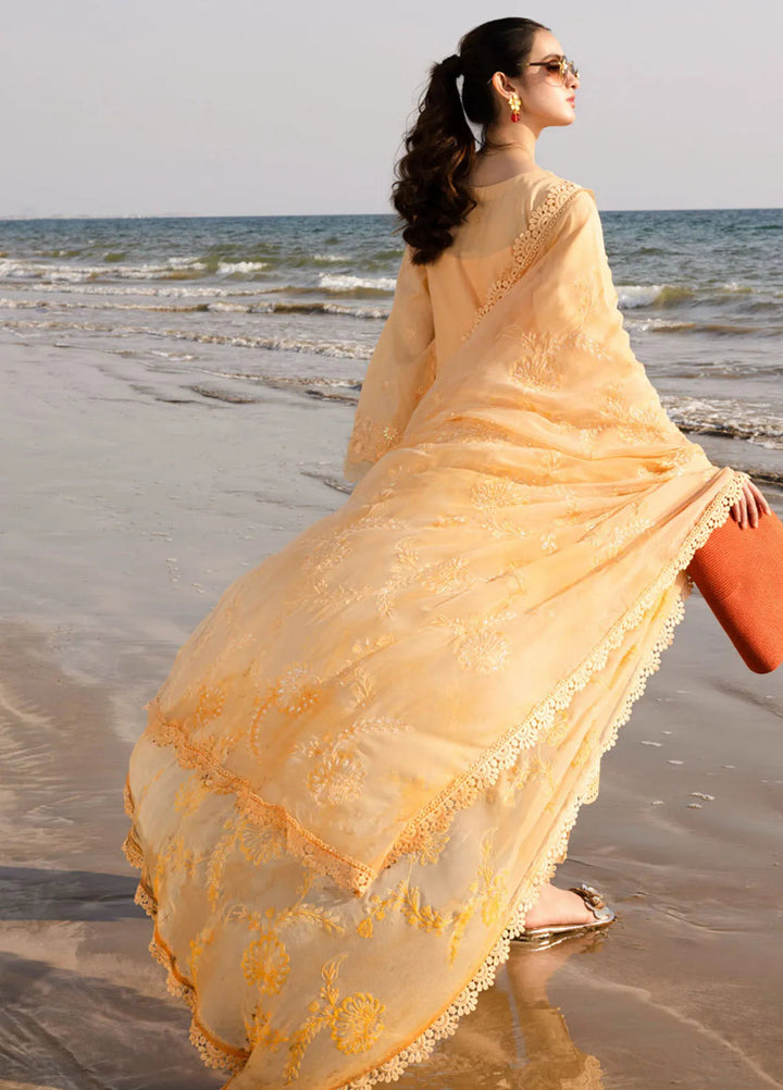 Tehzeeb by Riaz Arts Chikankari Lawn Suits Unstitched 3 Piece RA25TCL TL-430 - Summer Collection