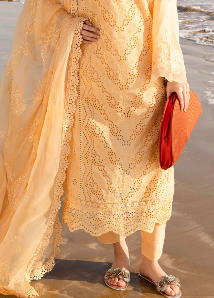 Tehzeeb by Riaz Arts Chikankari Lawn Suits Unstitched 3 Piece RA25TCL TL-430 - Summer Collection