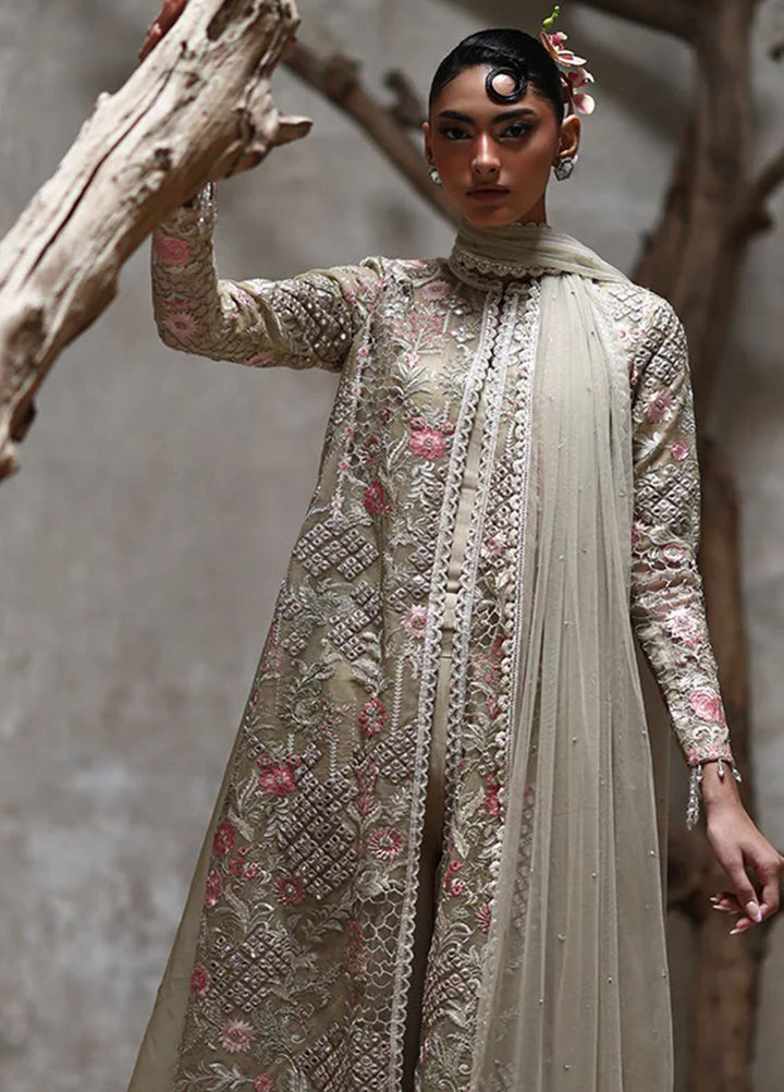Thread and Motifs Pret Embroidered Organza 3 piece Suit 9217