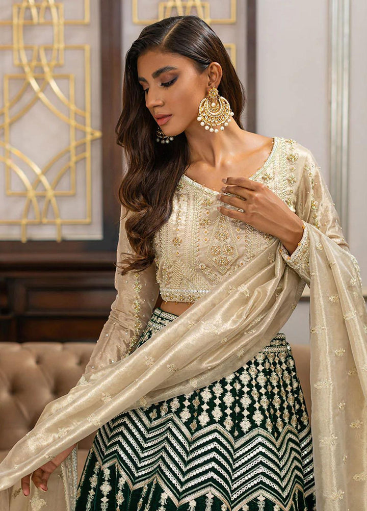 Threads & Motifs Luxury Pret  Tissue Lehenga and Blouse 7764