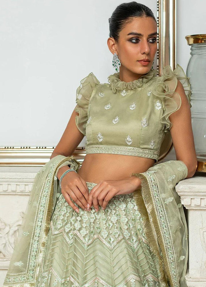 Threads & Motifs Luxury Pret  Organza Lehenga and Blouse 8190