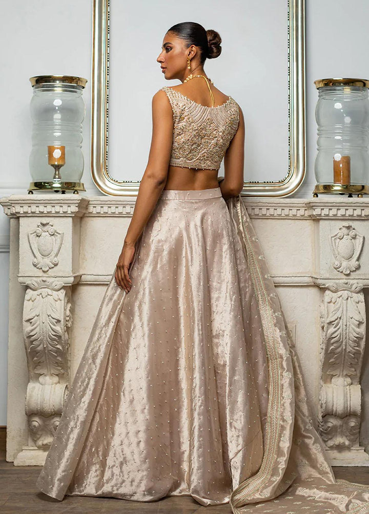 Threads & Motifs Luxury Pret  Tissue Lehenga and Blouse 8194