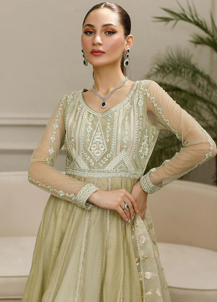 Threads & Motifs Pret Formal Wear Net Dress 8613