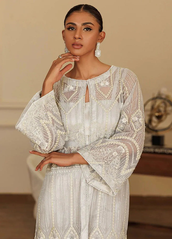 Threads And Motifs Pret Embroidered Net Dress 8406.1