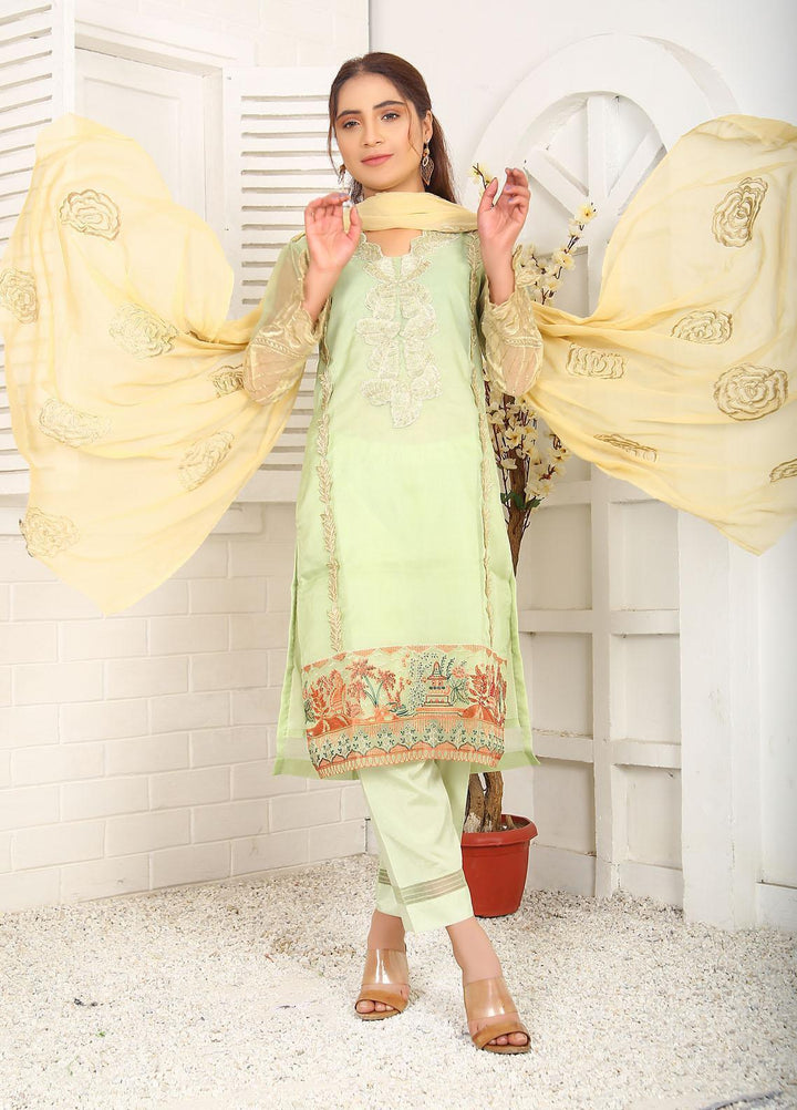 Top Notch Festive Pret  Organza 2 Piece Pistachio