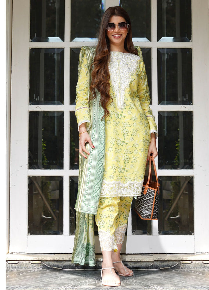 Mehr by Sahane Embroidered Lawn Suits Unstitched 3 Piece SNE24M CT-9012 Radiant Essence - Spring Summer Collection