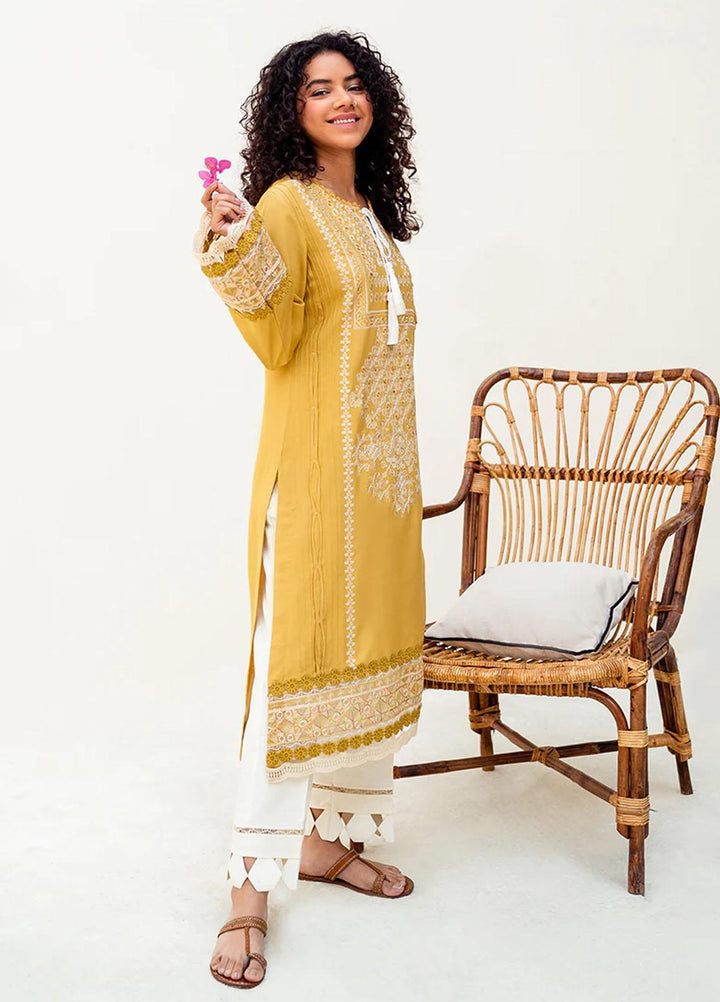 Vitalia Pret  Karandi 2 Piece Suit VT23PRT Amber